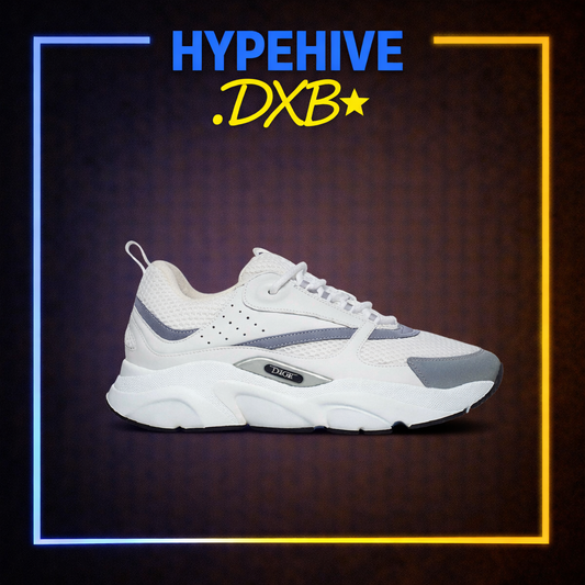 Dior B22 'White Grey'